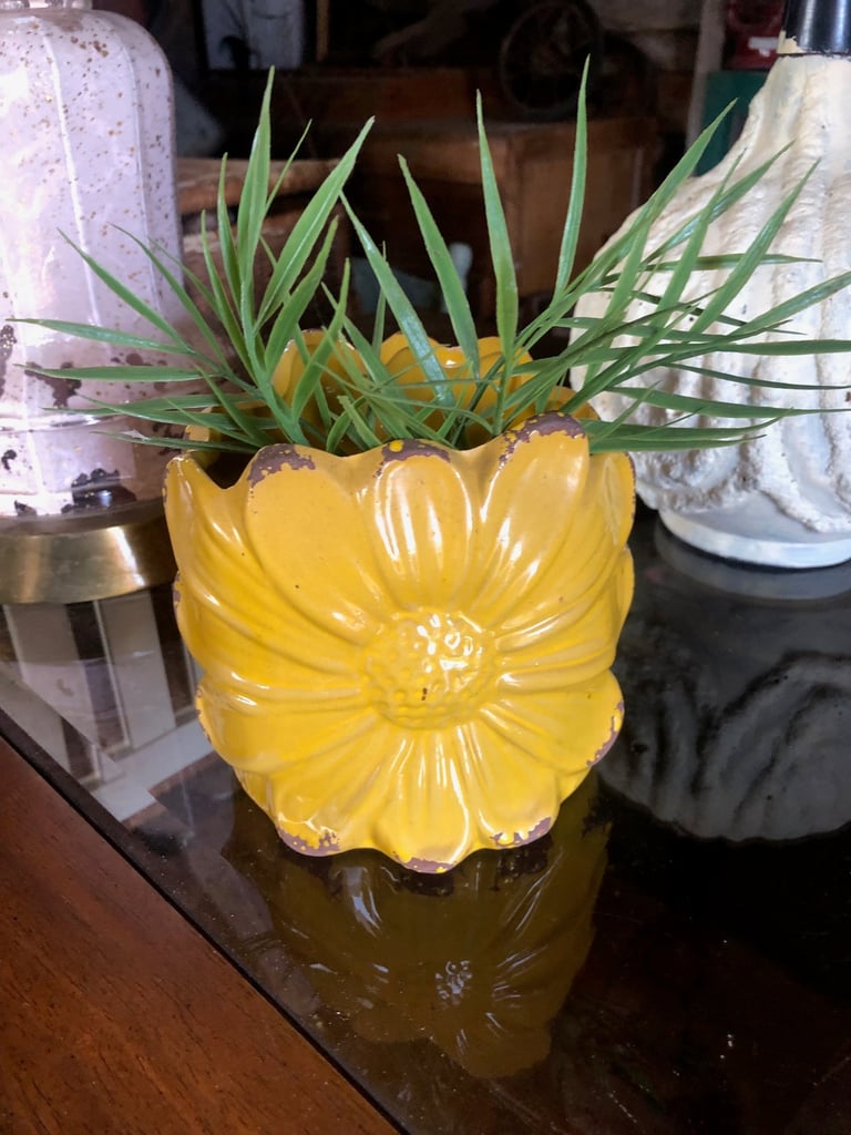Yellow flower-shaped ceramic planter with green spiky plant on a wooden surface