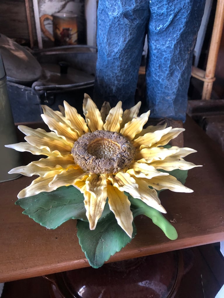 A dried sunflower with faded golden petals and brown center on a dark surface, with distressed blue jeans visible in the background